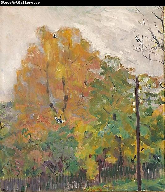 Bernhard Folkestad Deciduous trees in fall suit with cuts